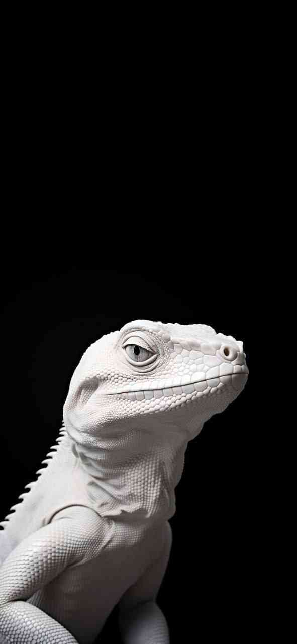 White Lizard Dark Wallpaper for Mobile | MirrorLog